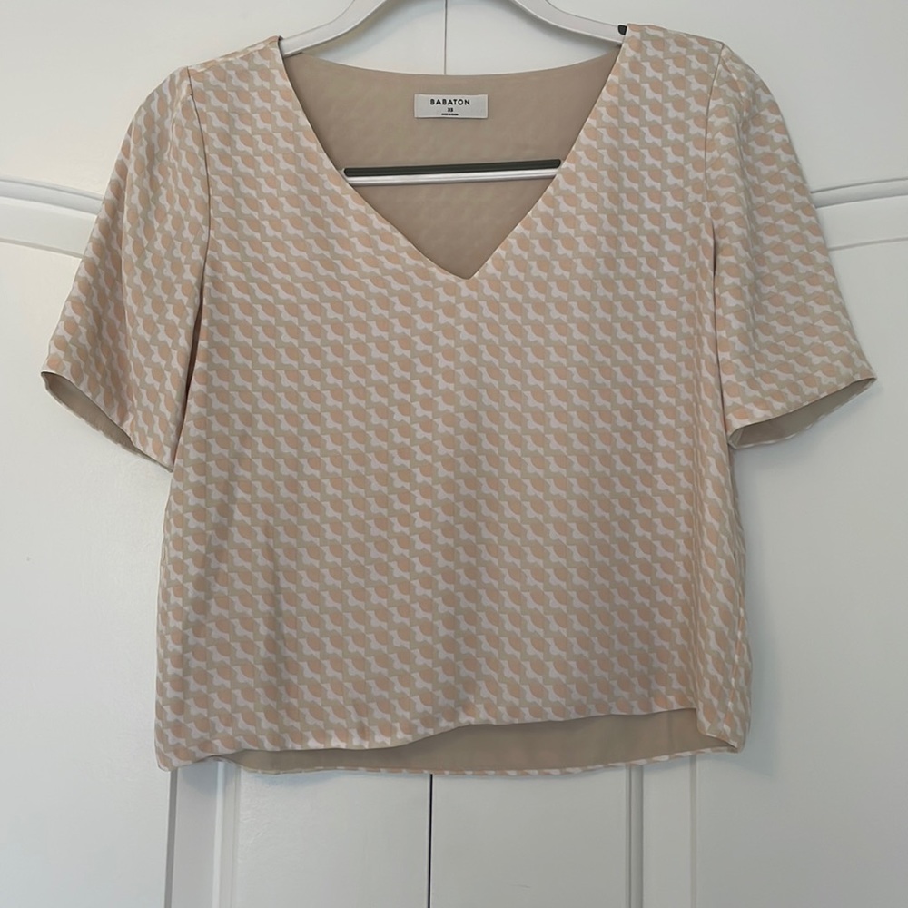 Aritzia Blouse